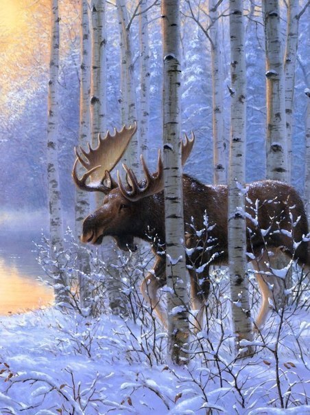 Зима так хороша