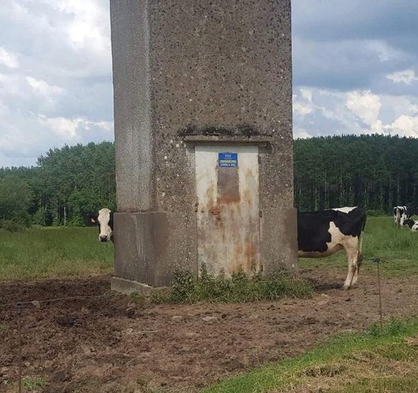 Портал в неизвестность