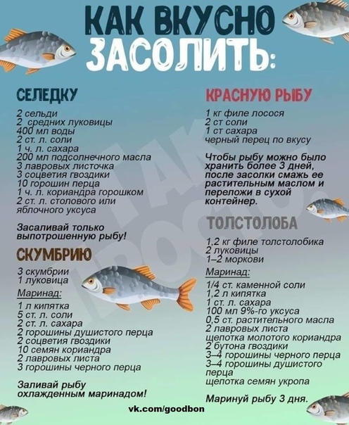  Солим рыбку правильно! Лови рецепт) 