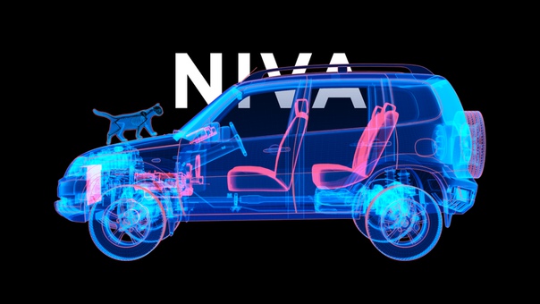 Несмотря на американское имя, Chevrolet Niva – автомобиль исконно русский, он выпускается в Тольятти и проблем с машиной хватает. Вот 8 неисправностей, с которыми столкнётся владелец отечественного внедорожника: