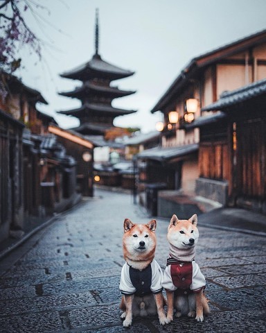 Парочка из Киото.