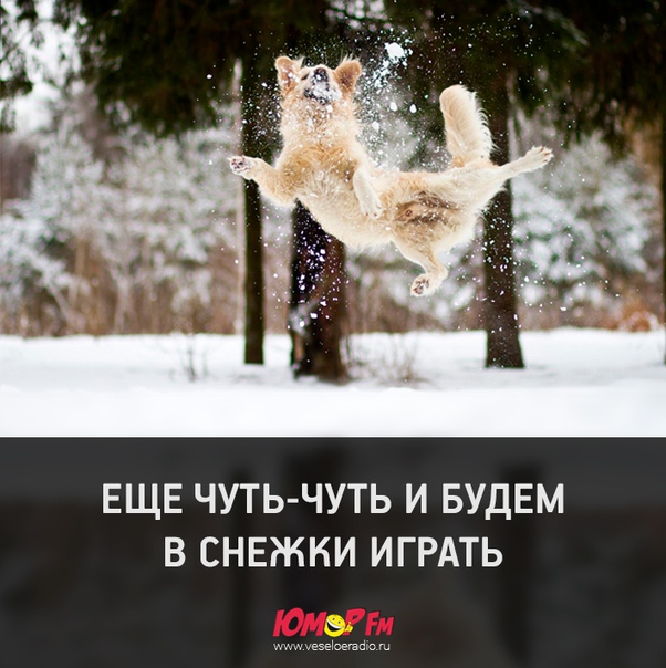 Чувствуете