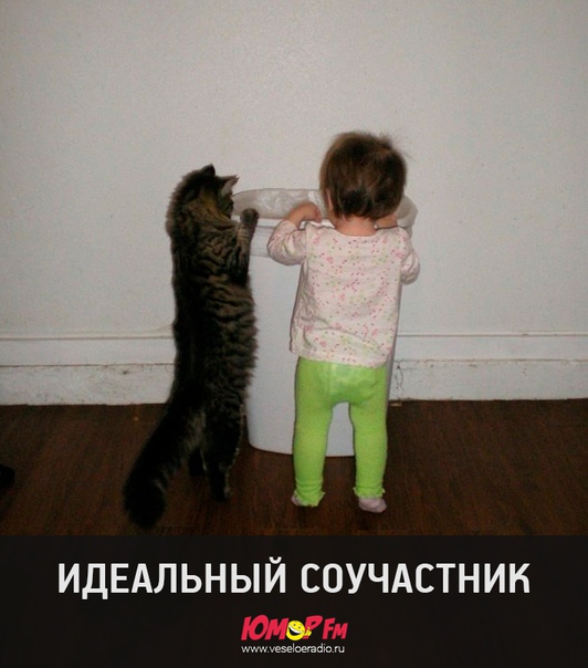 #юморфм