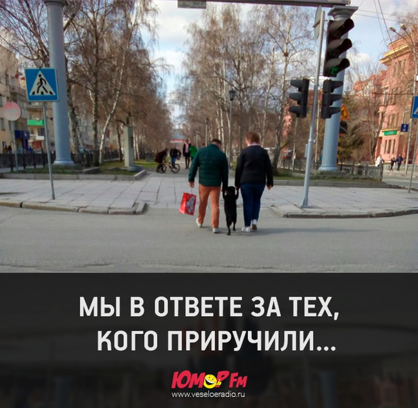 #юморфм