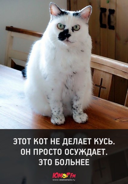 #юморфм