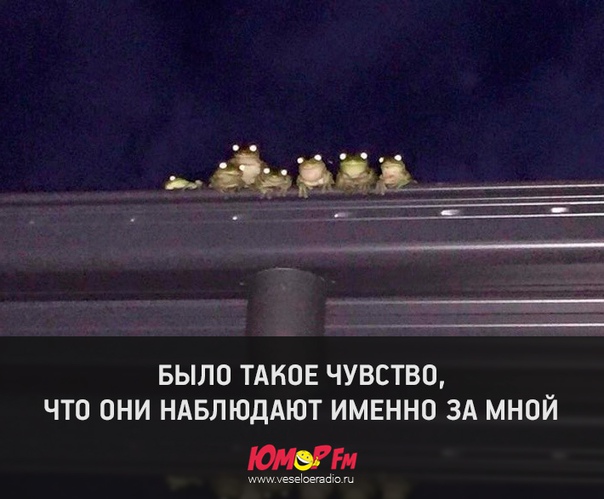 #большойбратследитзатобой #юморфм