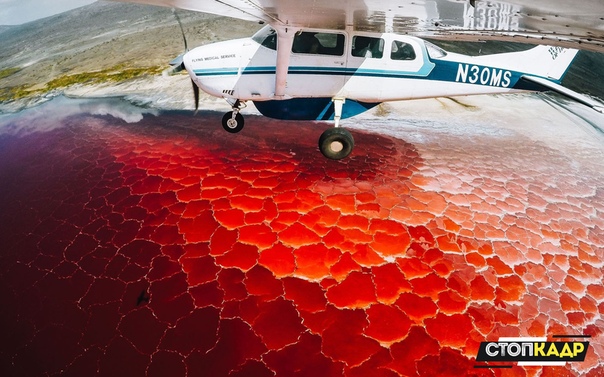 Озеро Натрон 