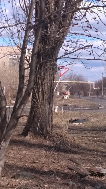 — Пс, друг, не хочешь уступить дорогу