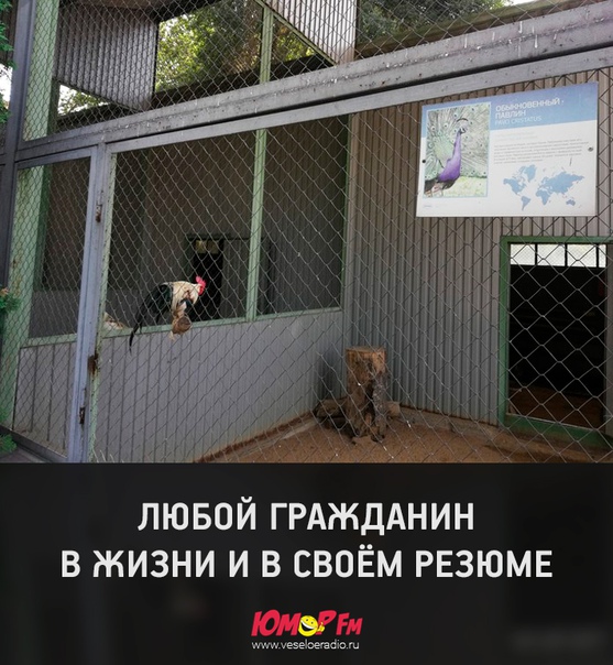 Смотрим на табличку на сетке