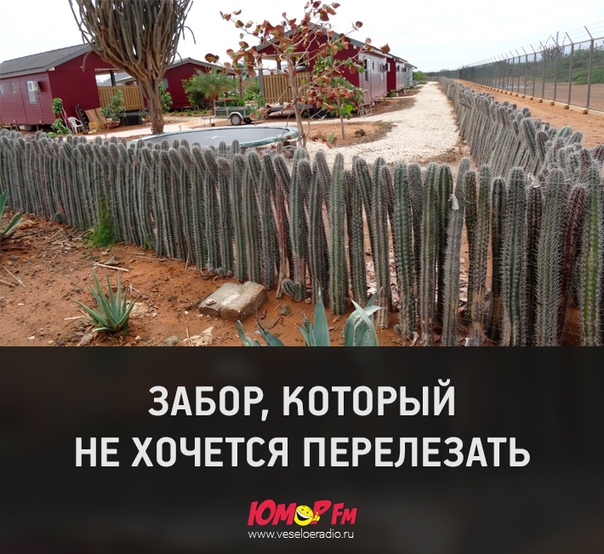 Где-то в Мексике