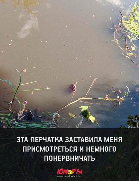 #юморфм