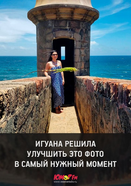 #юморфм #игуана