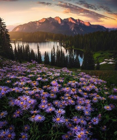 Цветущий Колорадо