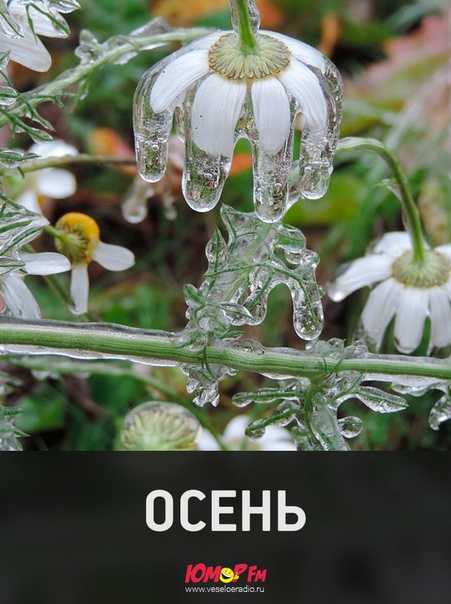 Доброе утро! Не замерзли