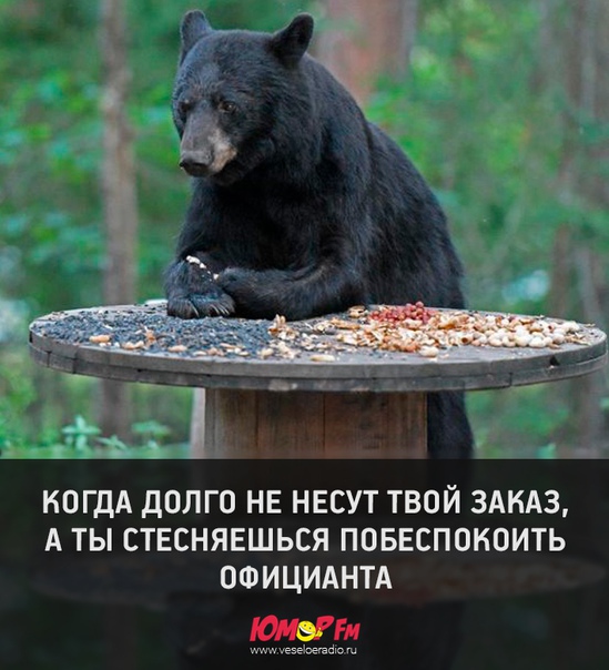 #юморфм