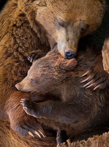 Мамина любовь безгранично нежная