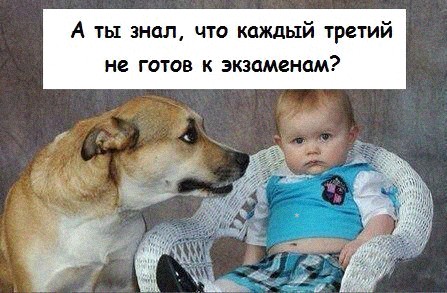 A ты гтв к экзaмeнaм