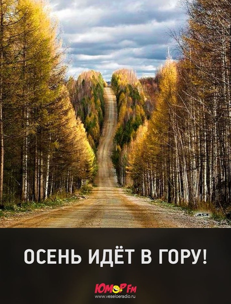 Доброе утро! Выкладывайте в комменты фотки вашей осени