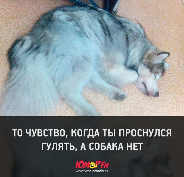 Доброе утро!