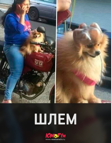 Микс заботы о безопасности и очумелых ручек!