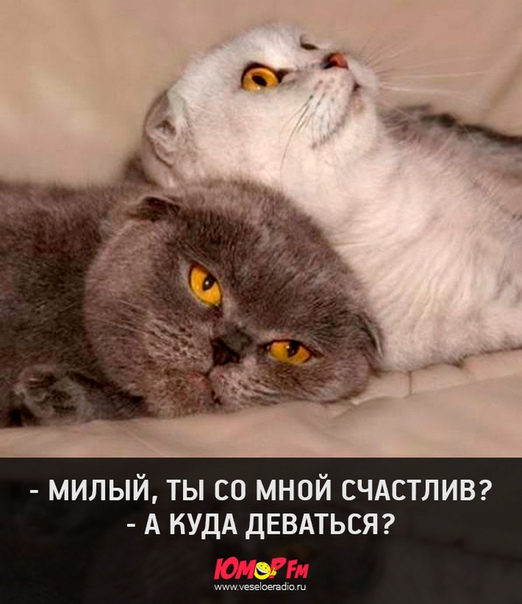 #любовь #юморфм