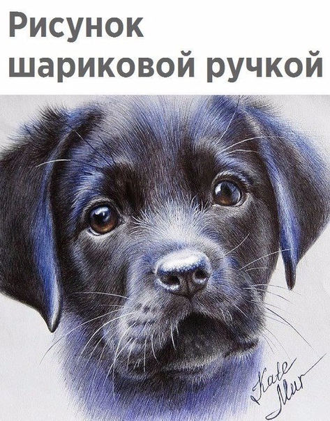 Это так реалистично!