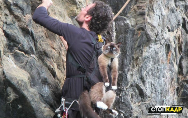 И чего нам дома не сиделось