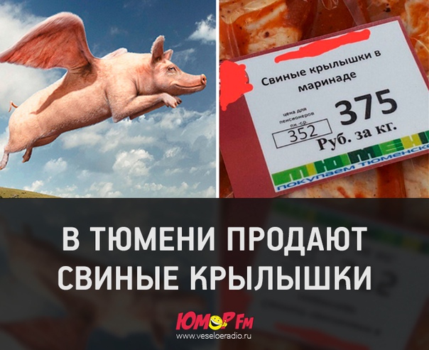 Попробовали бы