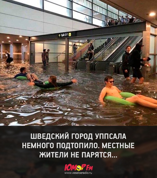 #неунывай #юморфм
