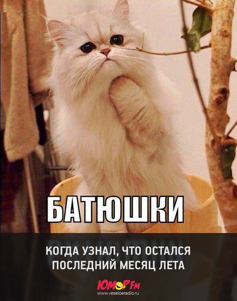 #лето #отдыхайнаполную #юморфм