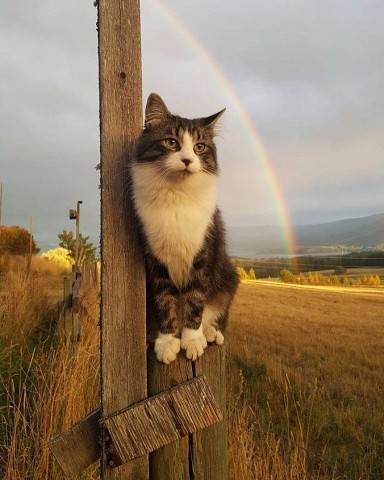 На этом фото прекрасно все.