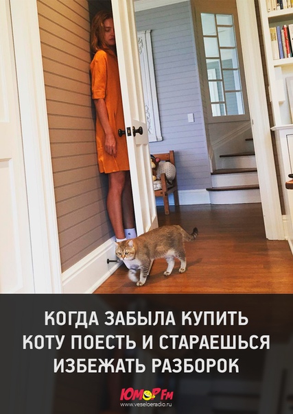 #юморфм