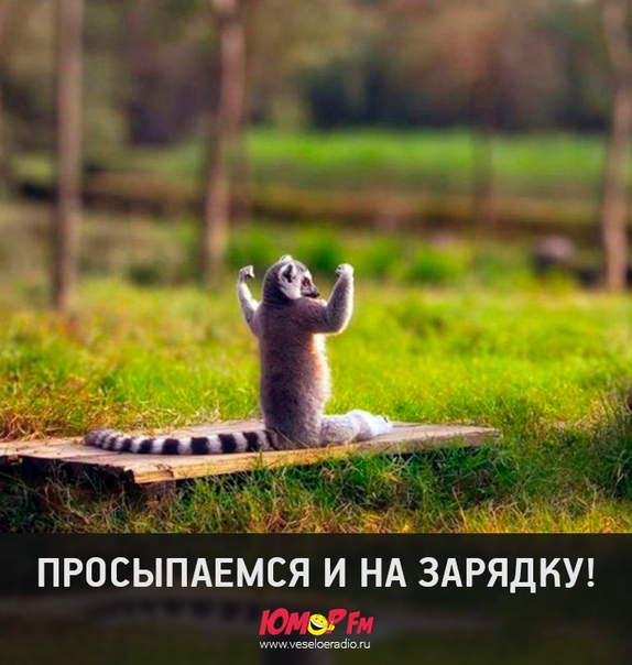 #доброеутро #юморфм