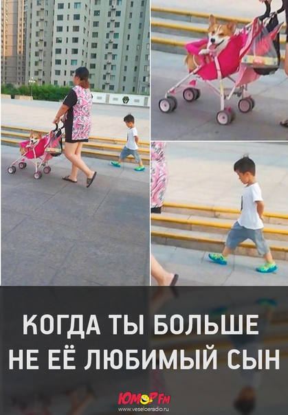 #сынок #юморфм