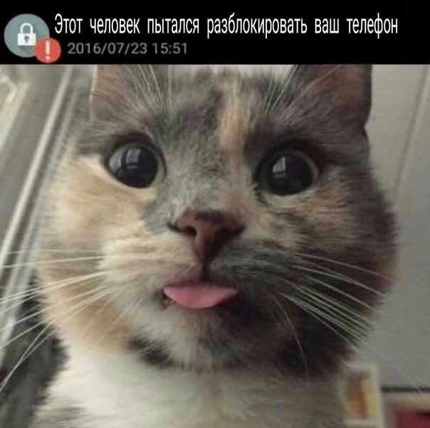 Маленький хакер!