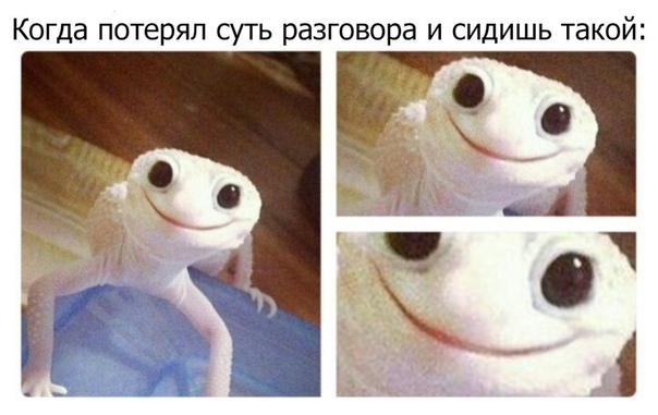 Потерял суть разговора