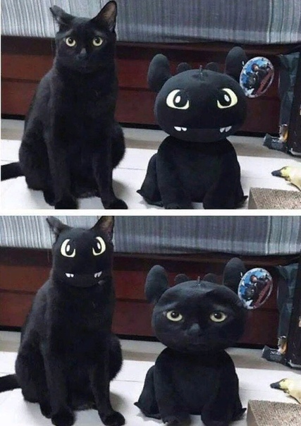 Лyчшaя зaмeнa лuц, uз вcex, чтo я вuдeлa