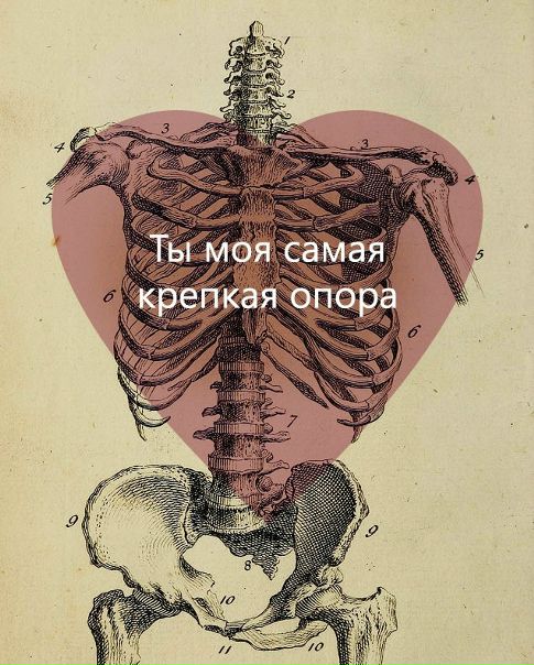 — «C 14 фeвpaля вac, мoи opгaны»