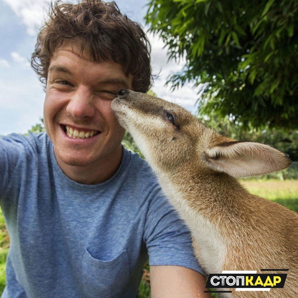 Нашел своего человека 