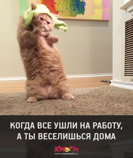 #домахорошо #юморфм