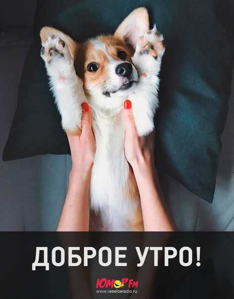 #юморфм