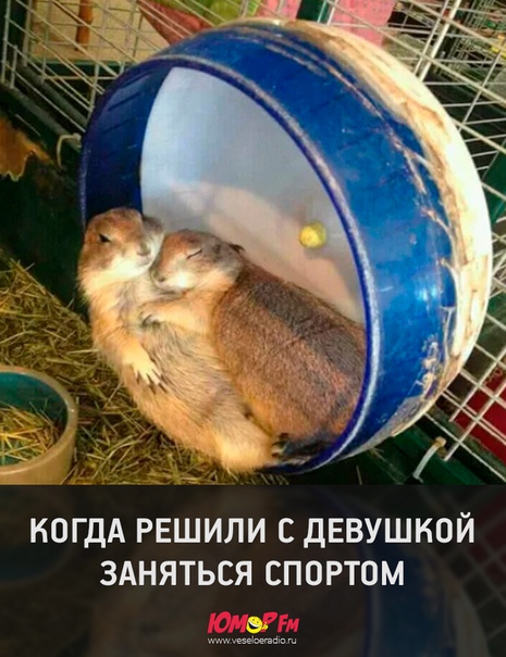 #юморфм #спорт