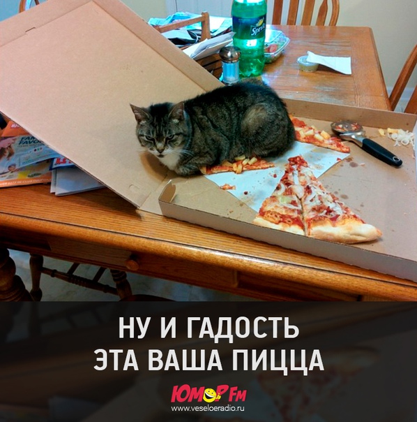#юморфм