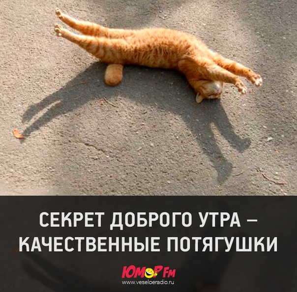 #утро #юморфм