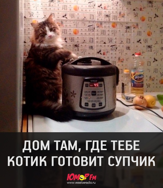 #юморфм