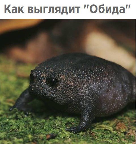 Обида