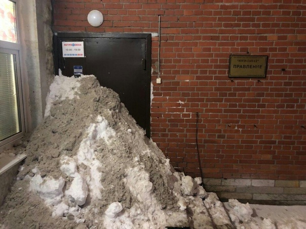 Петербуржцы решили сами навести порядок. Дали жару 