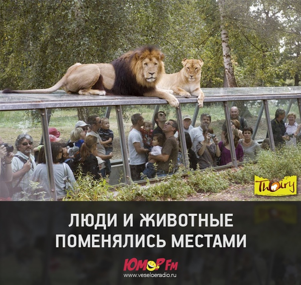 #зоопарк #юморфм