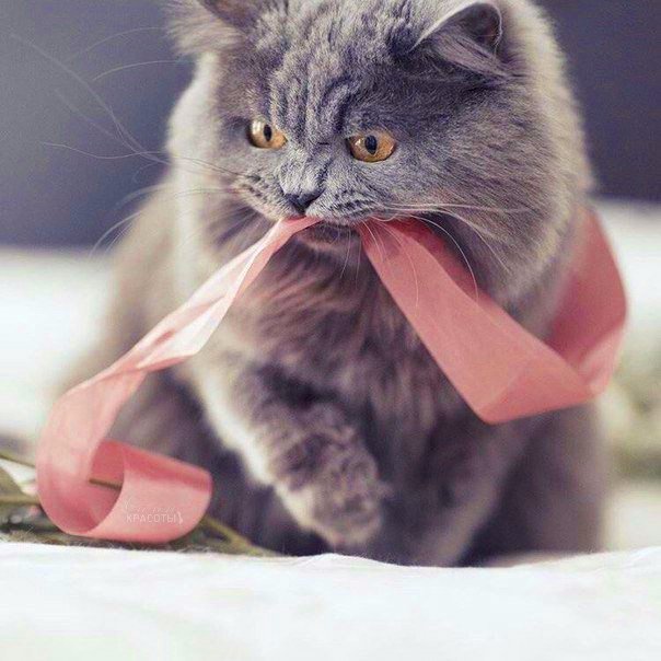Настроение... оно такое непостоянное, когда ты женщина!