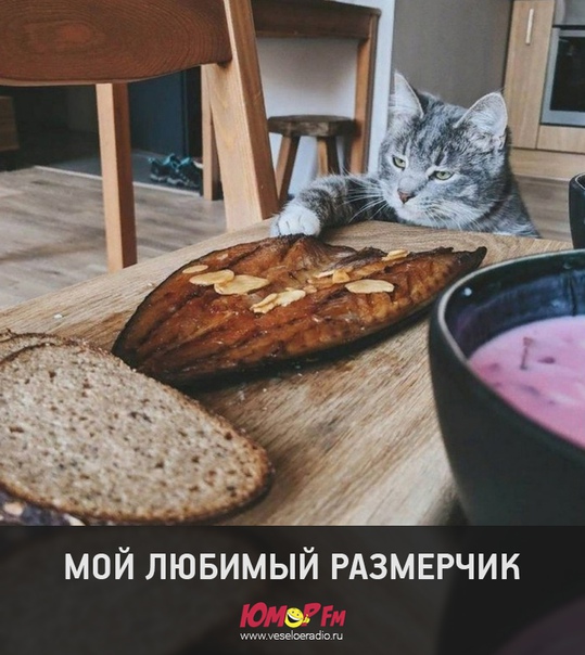 #размерчик #юморфм